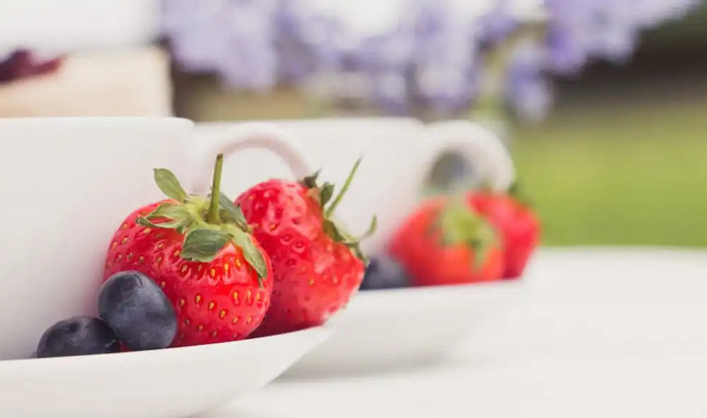 Windy Harbour Farm Bed & Breakfast