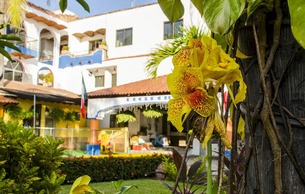 Hotel y Suites Mar y Sol