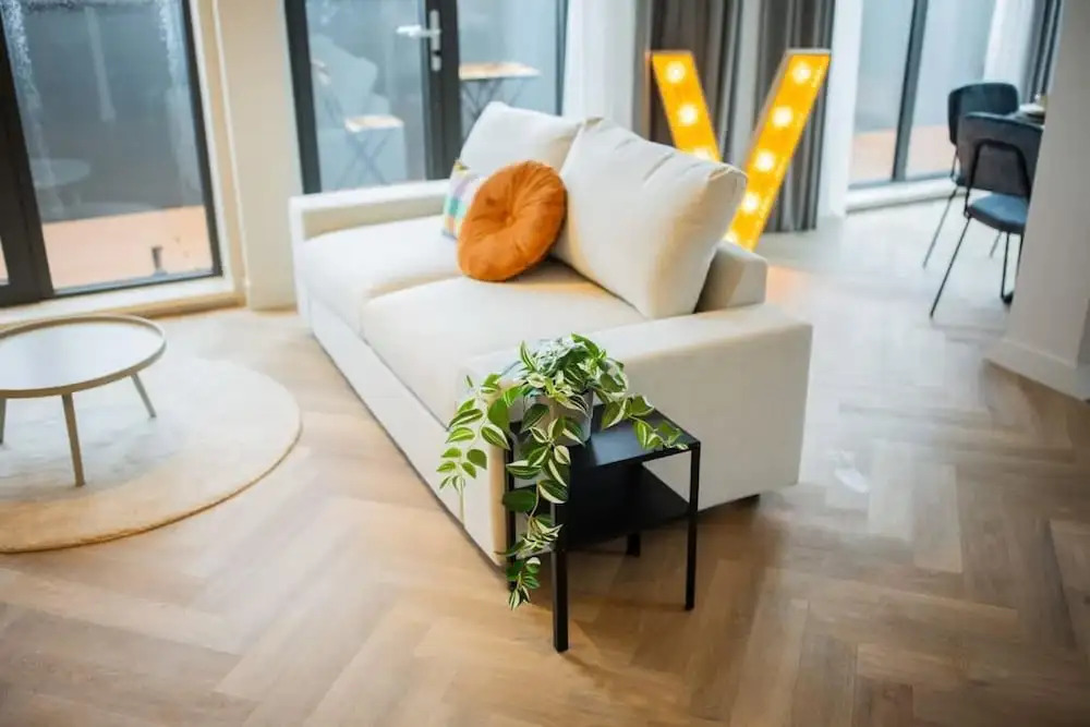 Wonderful Studio Penthouses