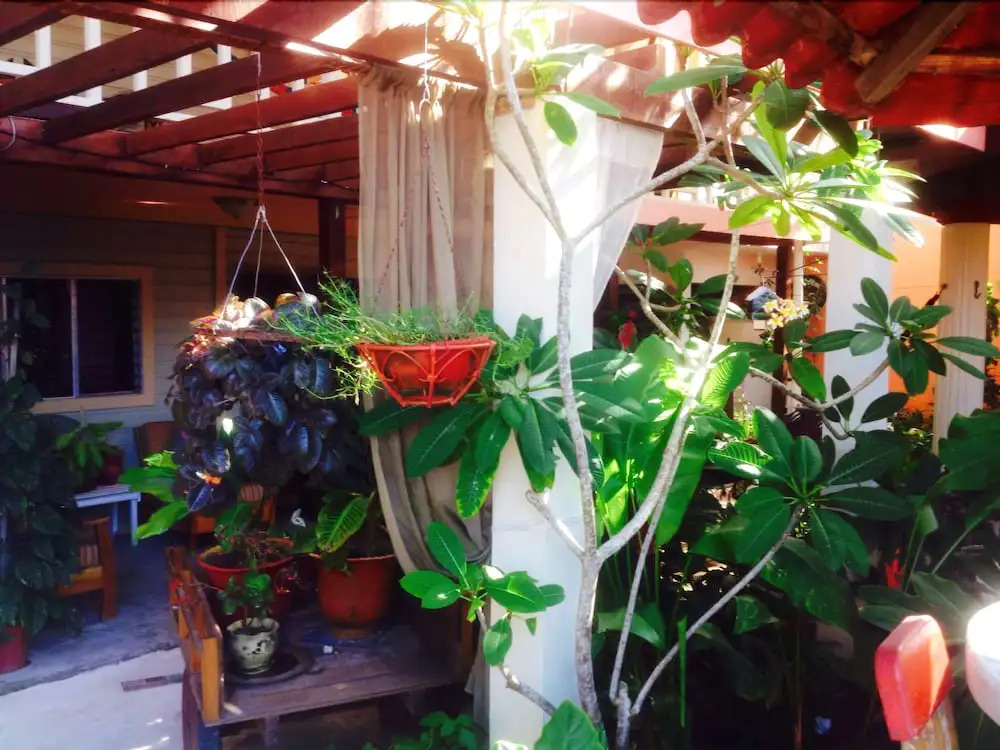 Hotel Boutique Posada Las Iguanas