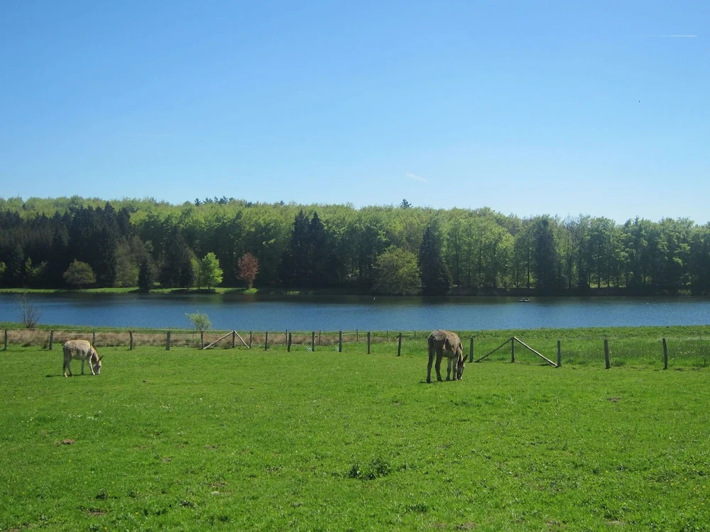 Comfortable Holiday Home in Somme-leuze With Garden