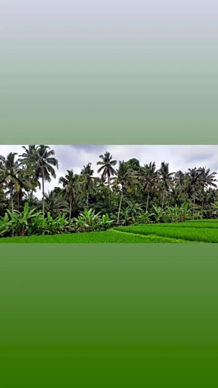 Galang hari villa