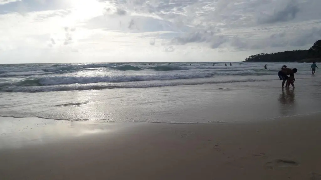 The Allamanda - Unit 1108