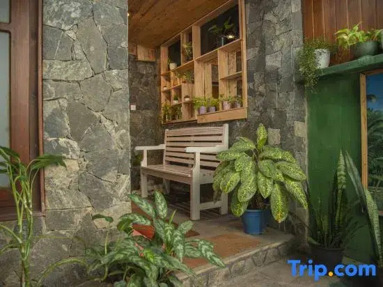 Wooden Villa Bungalow