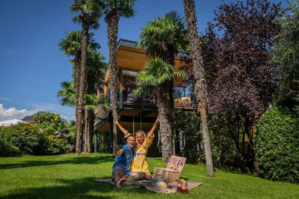 TreeLodgy, The Tree House