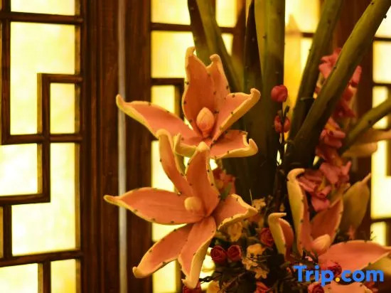 Floral Hotel · Baihui Living Zhangjiajie