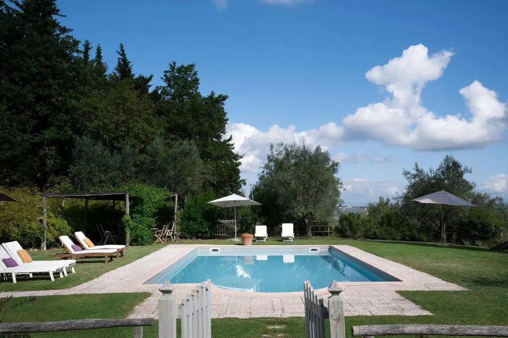 Archipettoli
