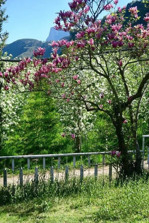 Garni Hotel Burgleitenhof