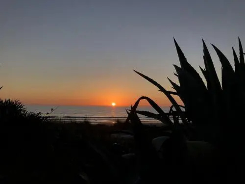 Residence Le Palme - Appartamenti sul mare - Spiaggia tra Palinuro e Caprioli