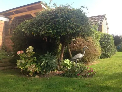Herons Nest