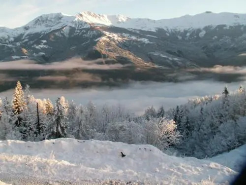 Loup chalet