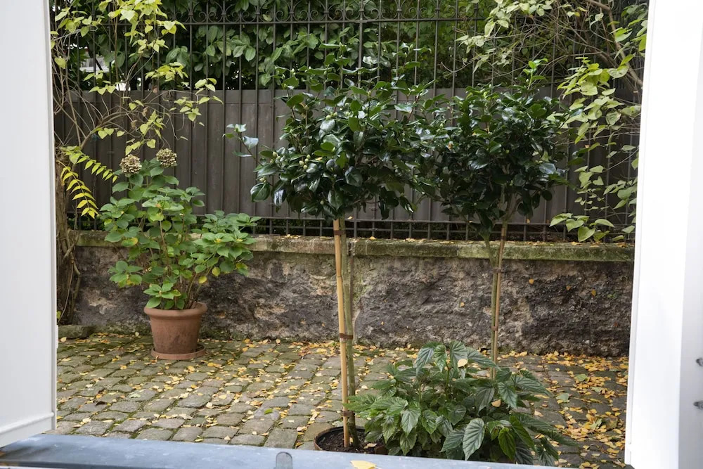 Comfortable & Peaceful Apartment - Paris Quartier Latin - Newly Renovated