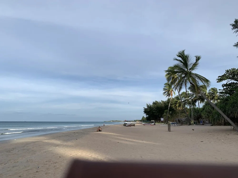Palm view inn-Nilaveli