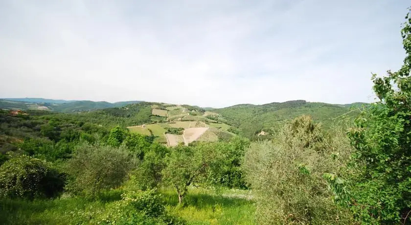 Castagnoli 3