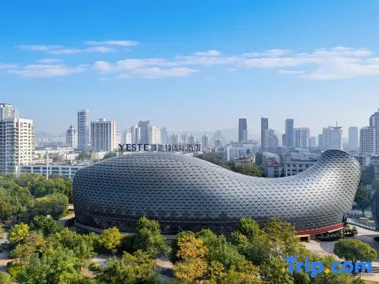 Yeste International Hotel (Liuzhou Cruise Terminal Shuangyu Hui River View Branch)