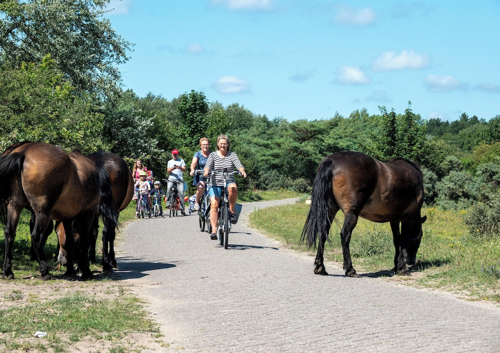B&B Slapen bij de bakker