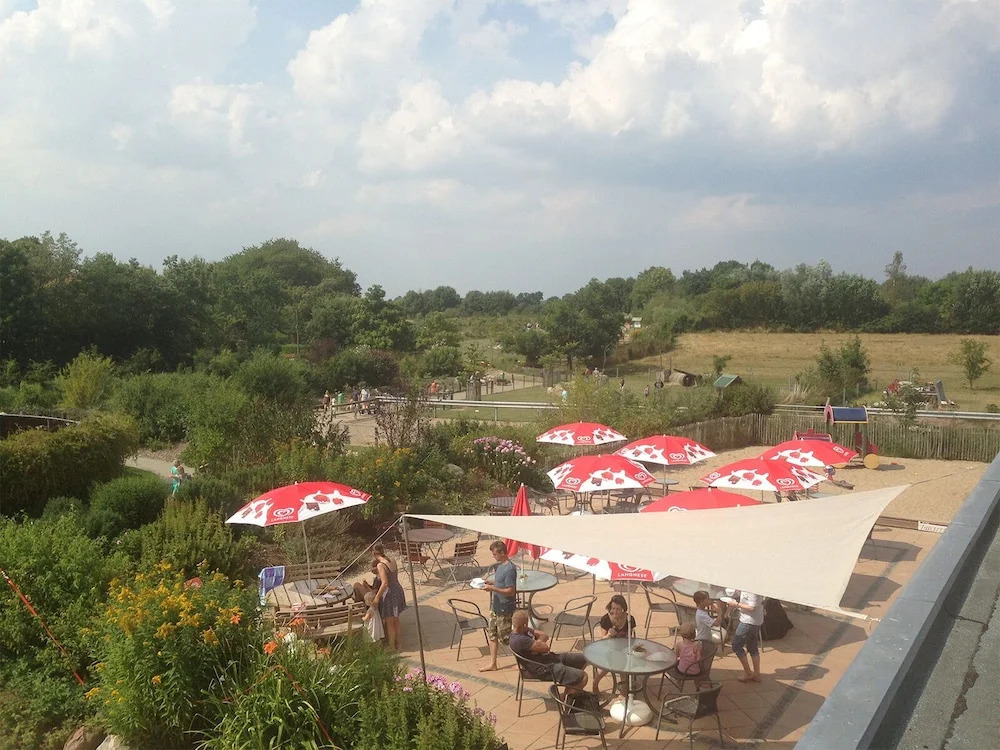 BARFUSSpark