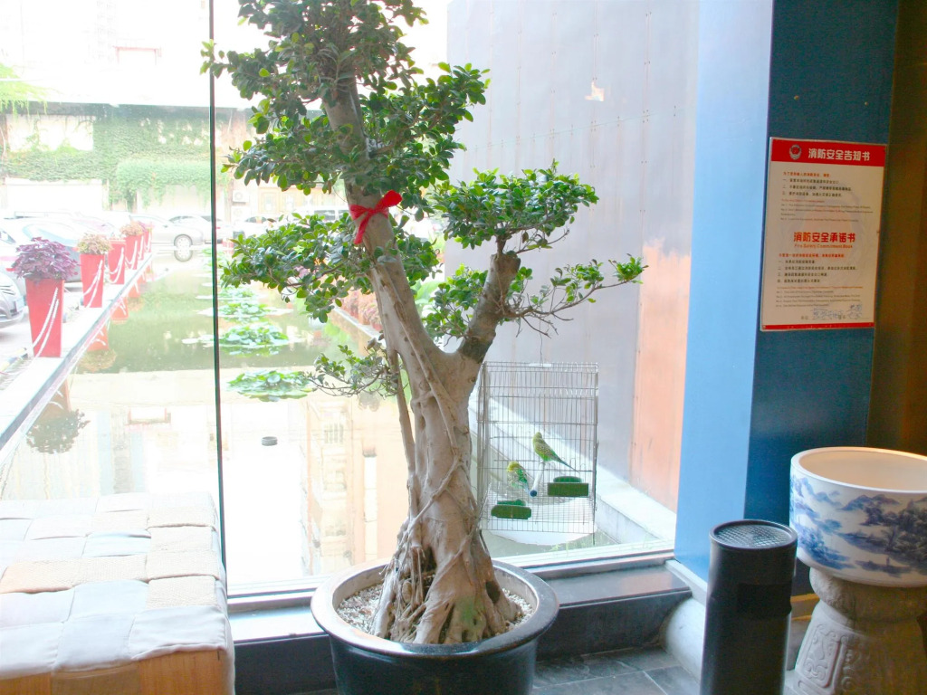 China Community Art Habitat Hotel