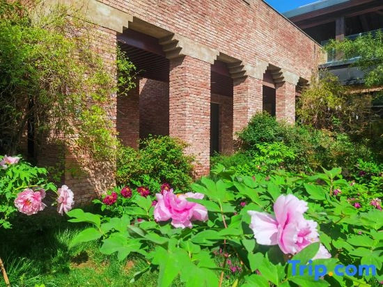 Hidden Tang Dynasty Homestay