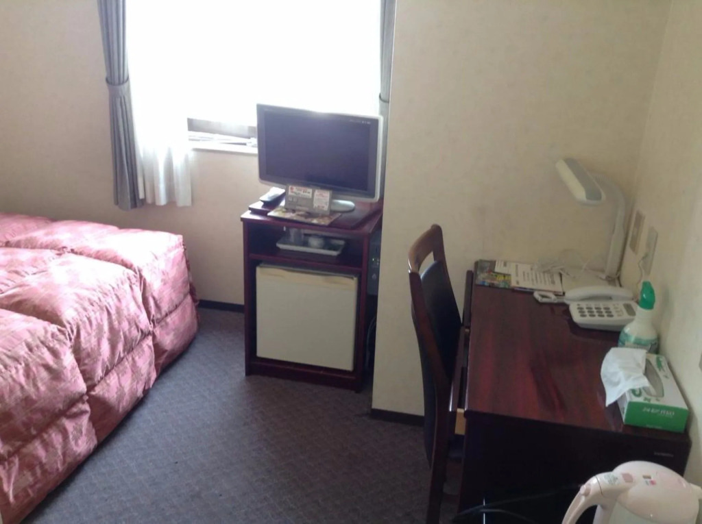 Shimizu plaza hotel
