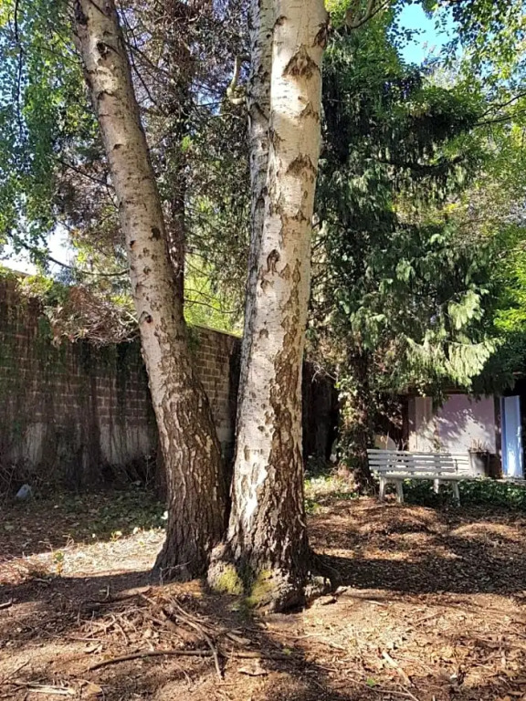 B&B 1 uit de 100