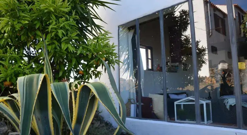 Sunflower Cottage