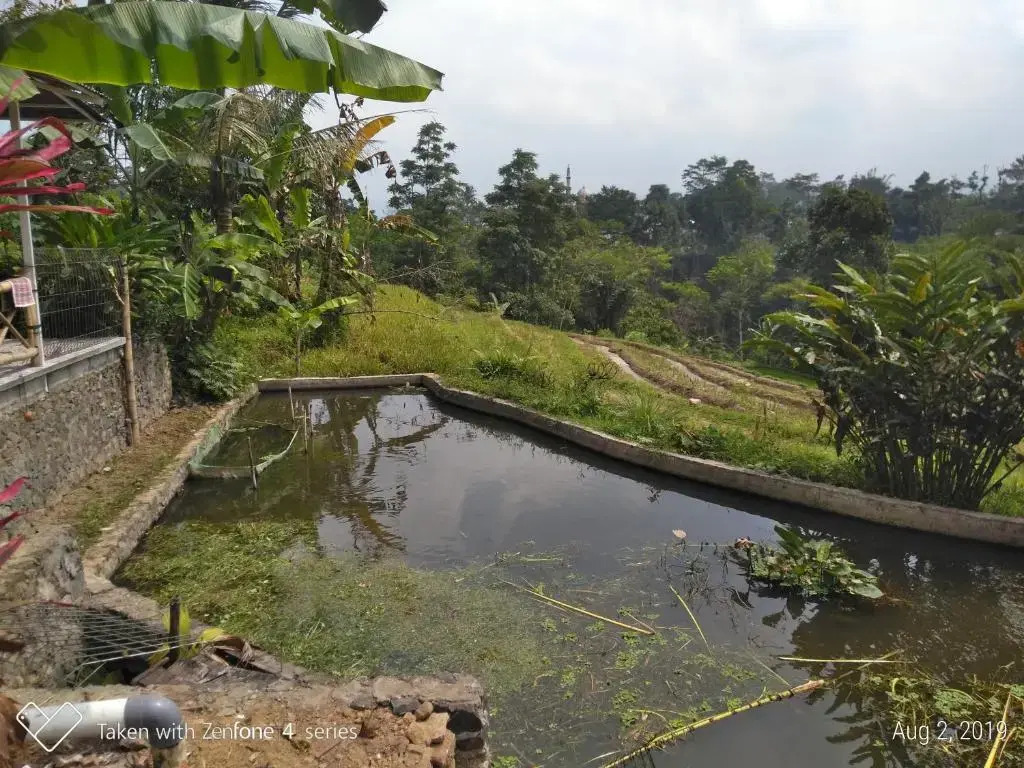 Rumah Sakinah