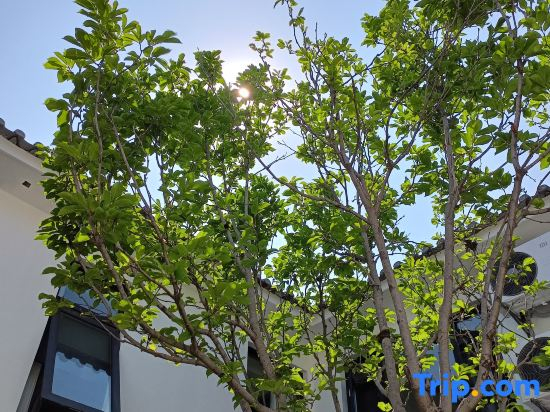 Minyue Xiaozhu Designer Garden B&B (Gongchen Tower Branch) in Weishan Ancient City
