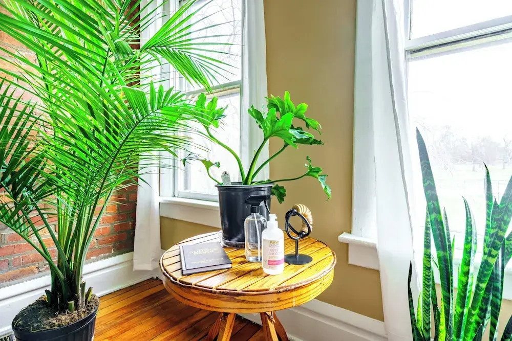 The Parkside by Jungle House – Short North Boutique Suites