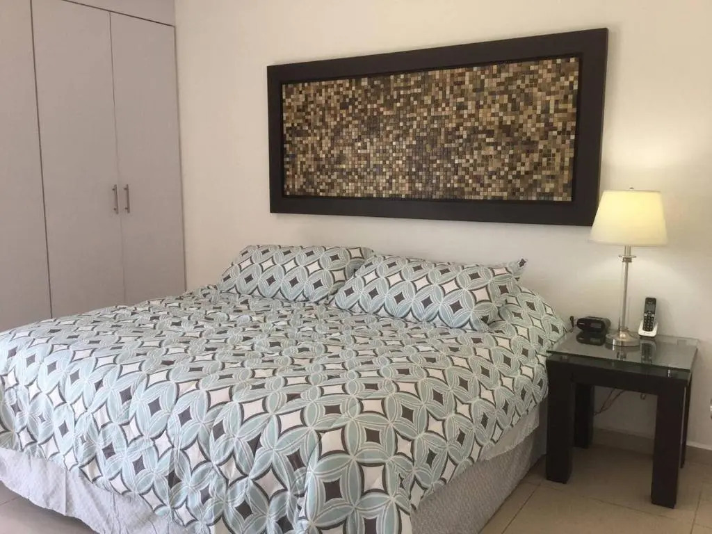 Moderna Suite Privada Alberca Av B Quintana 29C