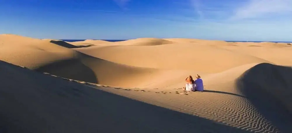 Canoa Palmera Oasis 2