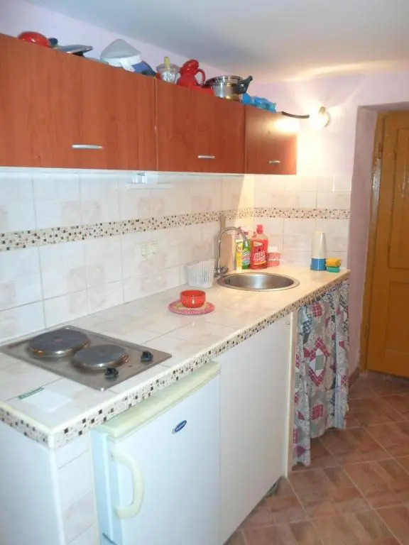 Apartment IVANKA -KROK