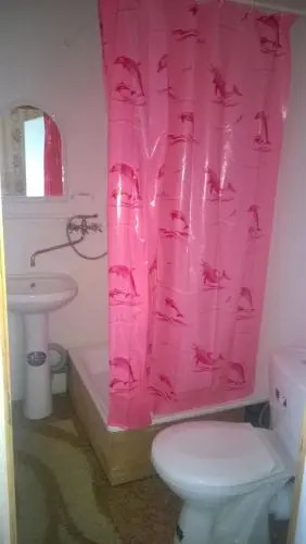 Guest House on Chapayeva 7b