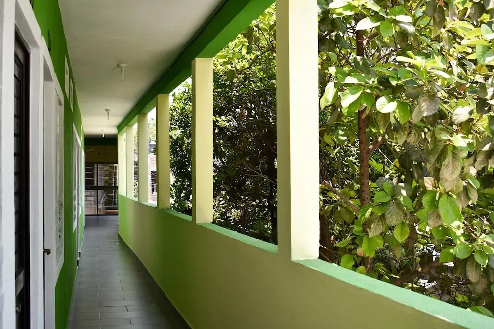 HOTEL LOS PINOS CENTRO
