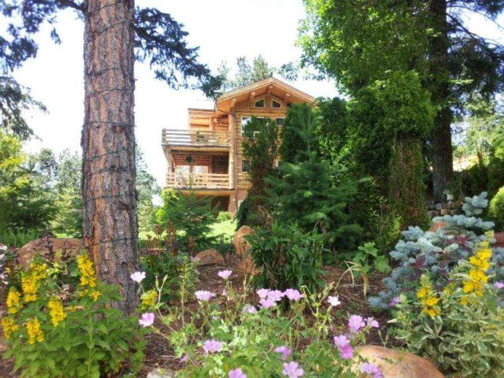 Bigfoot Lodge B & B