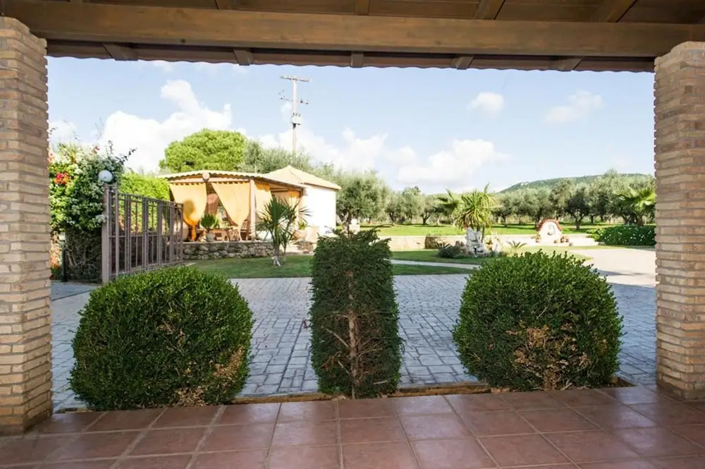 Cozy Flat In An Olive Grove 1.5km By A Sandy Beach