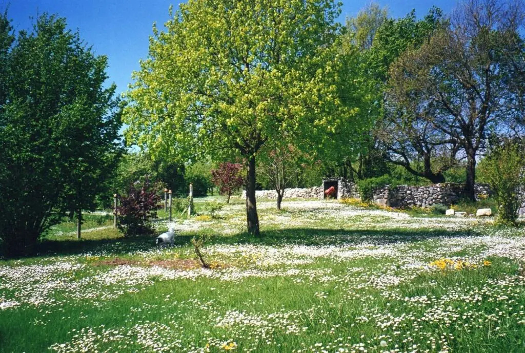 Gîte lOdonata