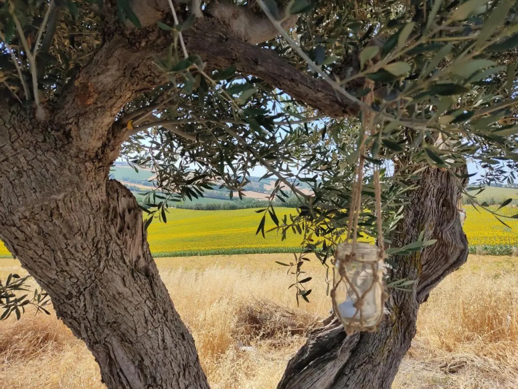 Casa Caminate - La Quercia 2