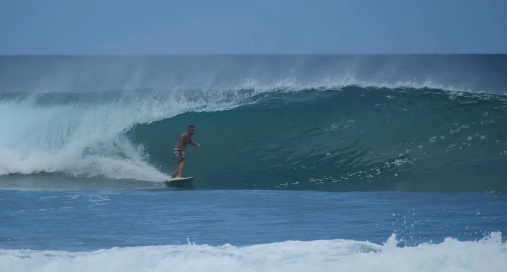 Wild Waves Surf-House