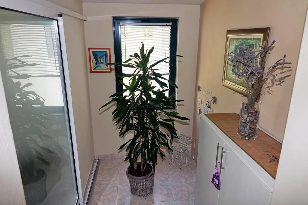 Apartment Babić