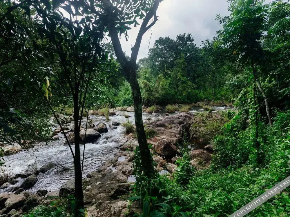 Misty River