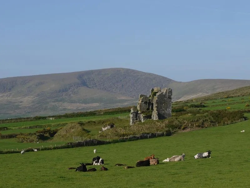 Moriartys Farmhouse