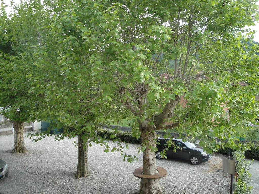 Locanda del Brinsc
