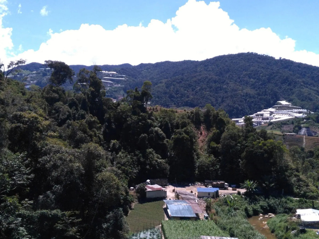 The Pines Hotel