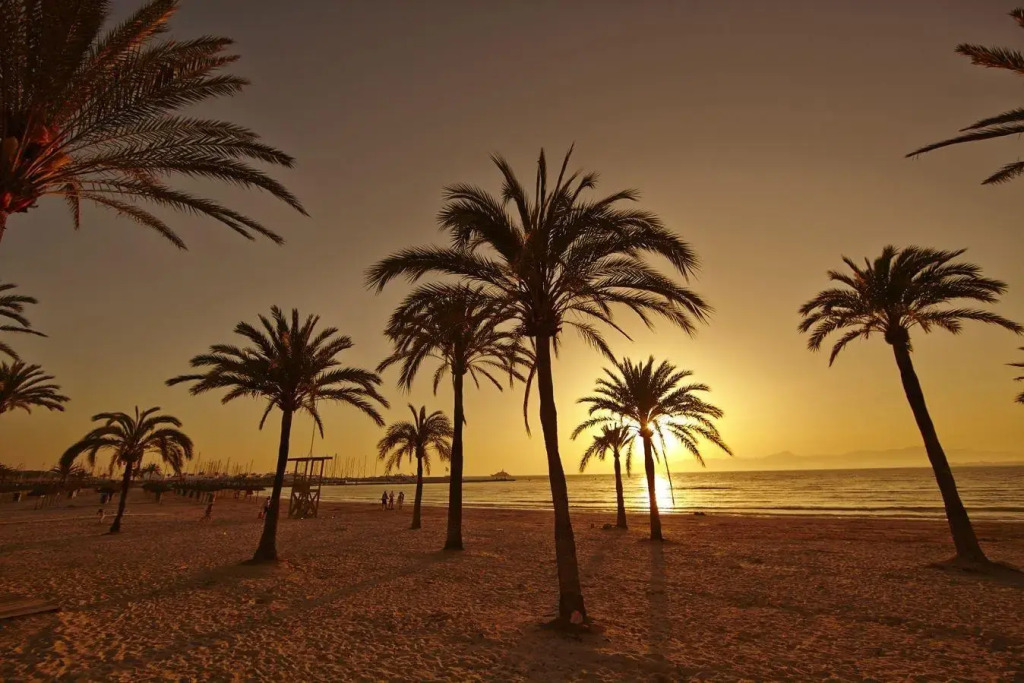 MLL Caribbean Bay