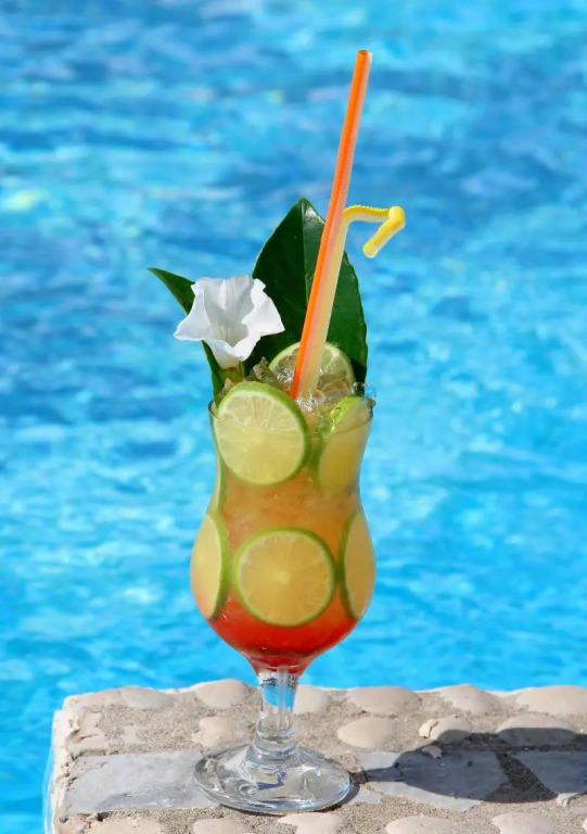 Apartment bay, Bougainville Bay Resort