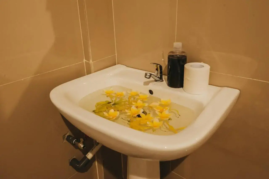 Dados Guest House