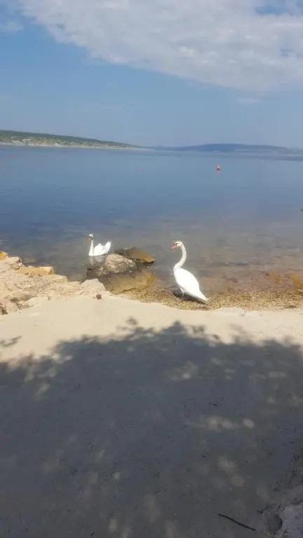 Apartmani Ana - Meka Draga
