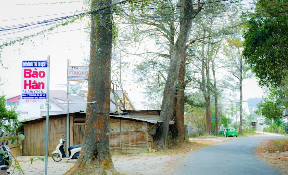 Bao Han Homestay