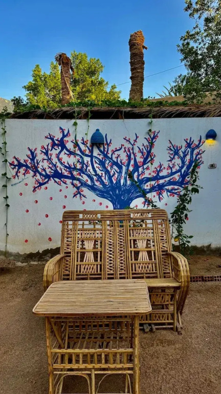 Palma Oasis Hostel